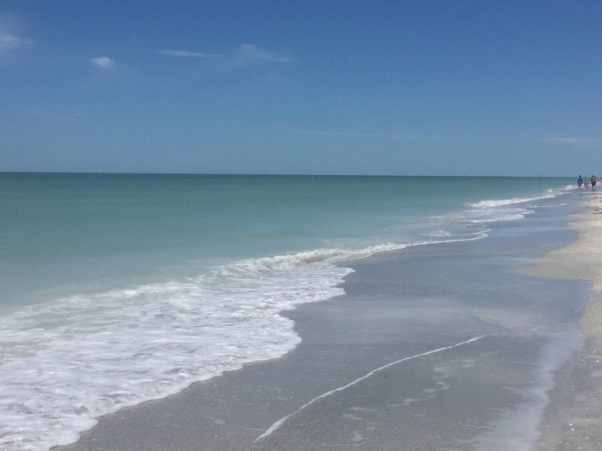 Intercoastal Beach Suite Clearwater Eksteriør bilde